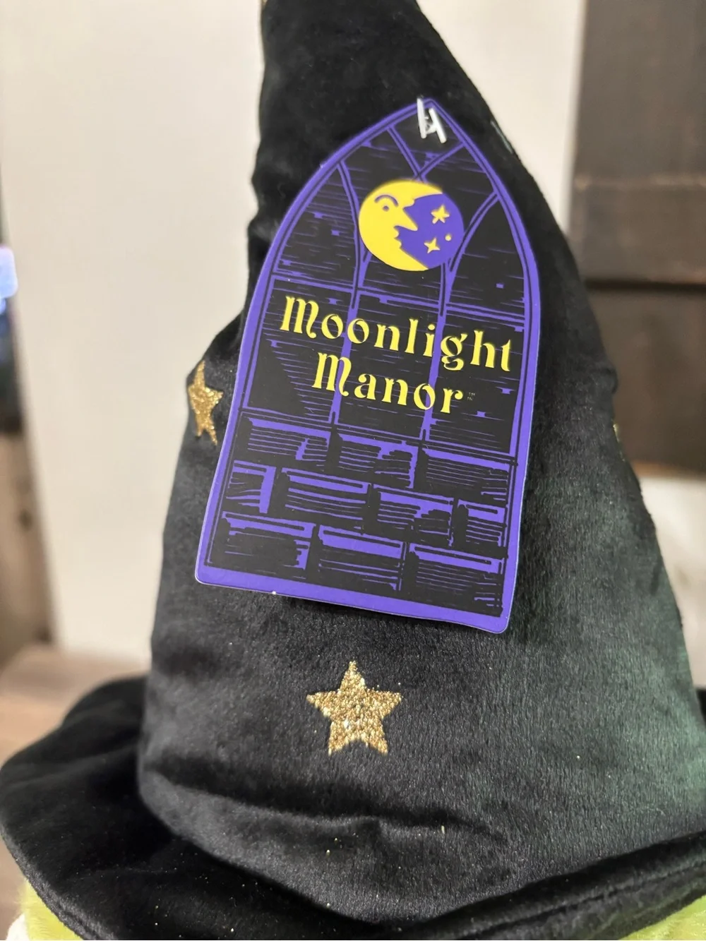 NEW VIRAL MOONLIGHT MANOR WIZARD FROG